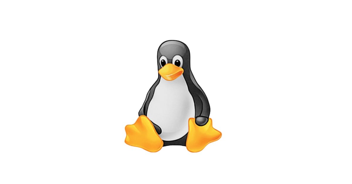 How To Find Or Search (Top-10) Largest Or Biggest Files In Linux